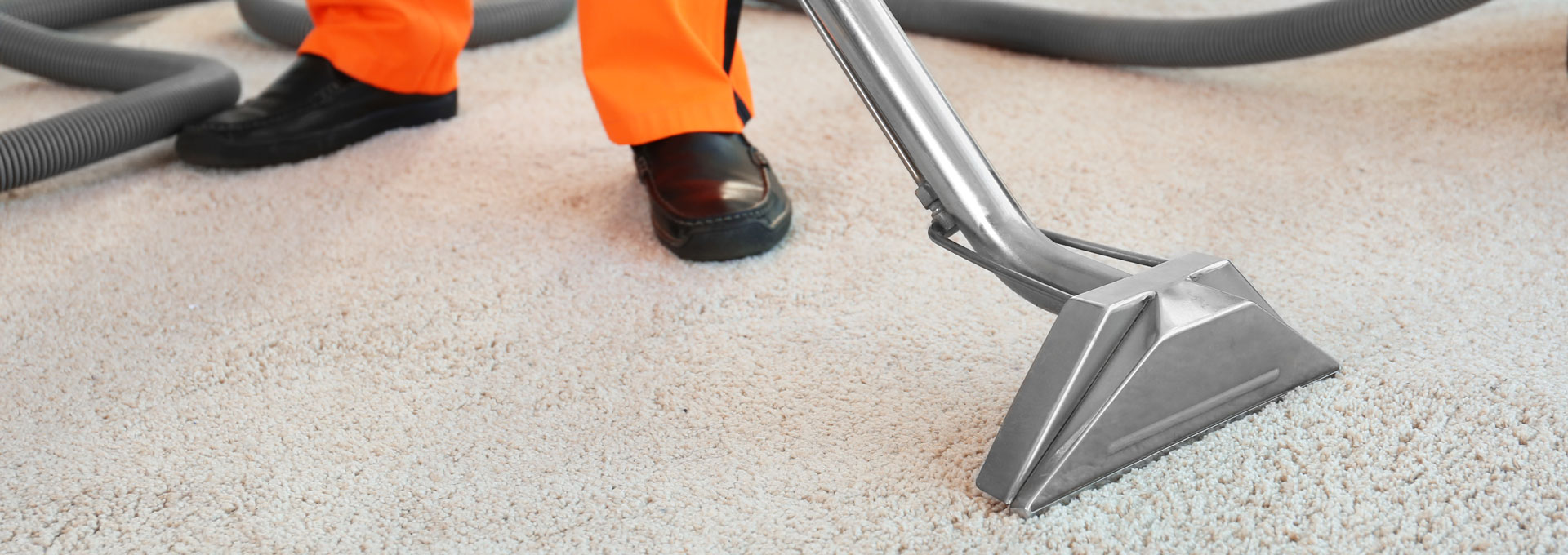 steam carpet cleaner