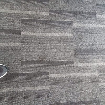 before carpet steam cleaning